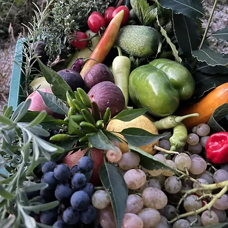 Oda ve Kahvaltı Ron De Mar - Flamingo