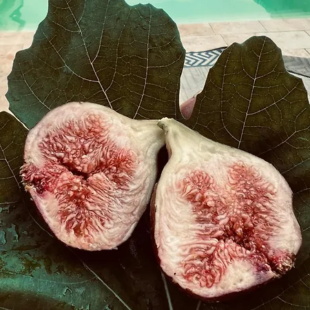 Ron De Mar - Flamingo Oda ve Kahvaltı